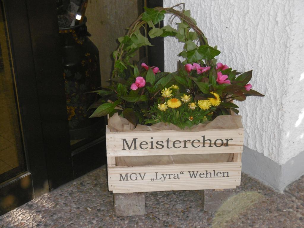 Haus Hochwaldhoehe Morbach Exterior foto